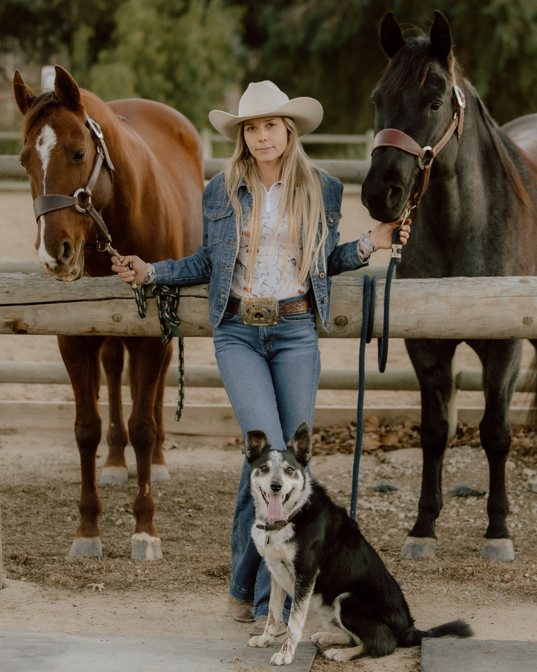 D. D. Impulsion & Straightness EMILY Long Sleeved Training Shirt