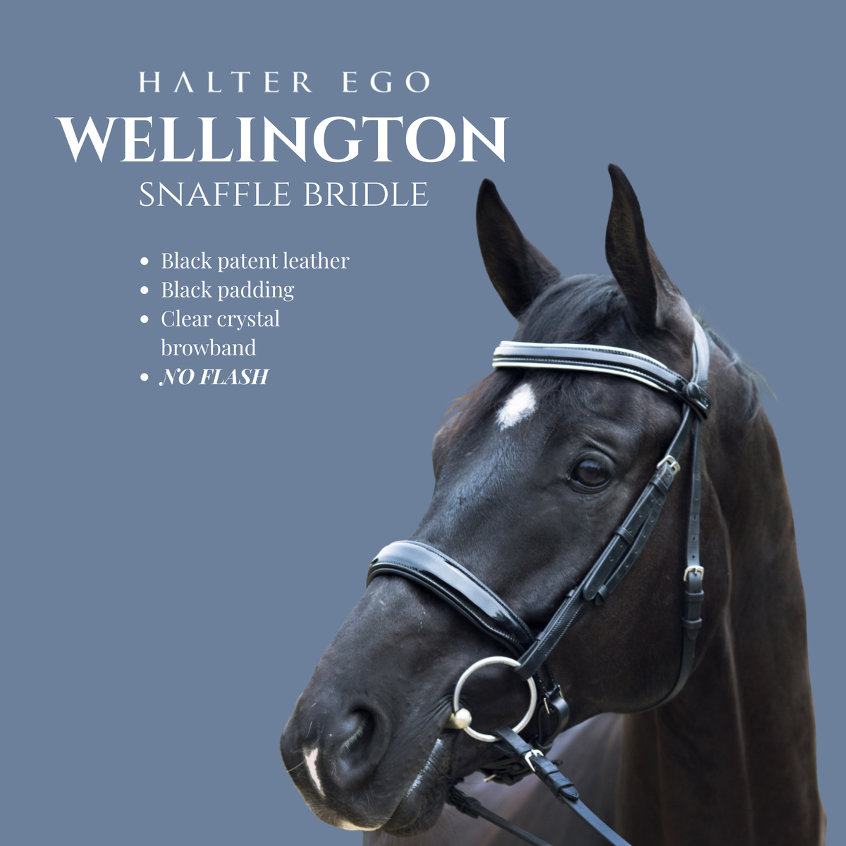 Halter Ego® 'Wellington' Black Patent Leather Snaffle Bridle Without Flash