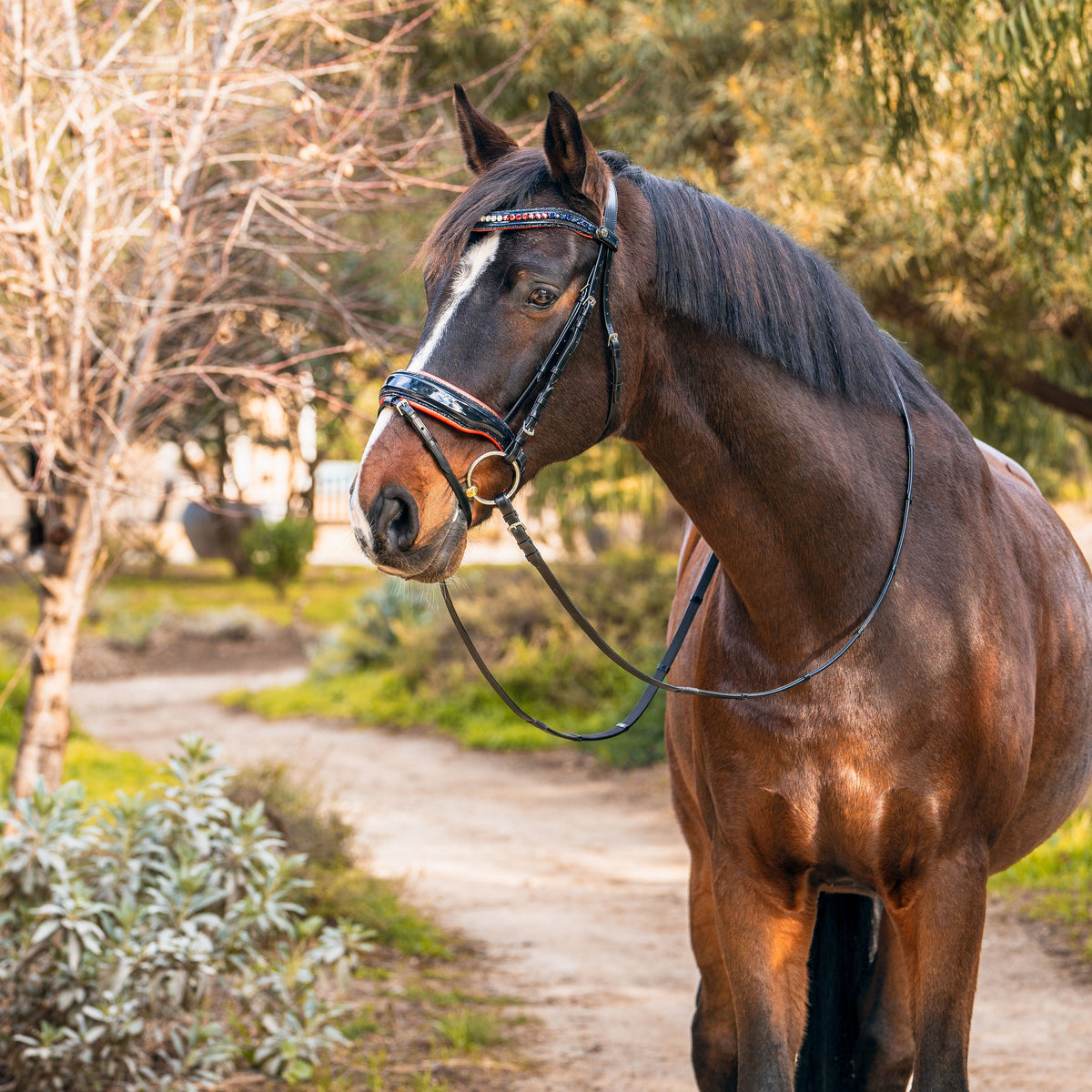 The Revere Navy Patent Leather Snaffle Bridle