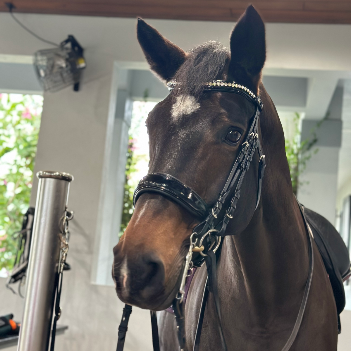 The Diamante Black Patent Sparkle Double Bridle