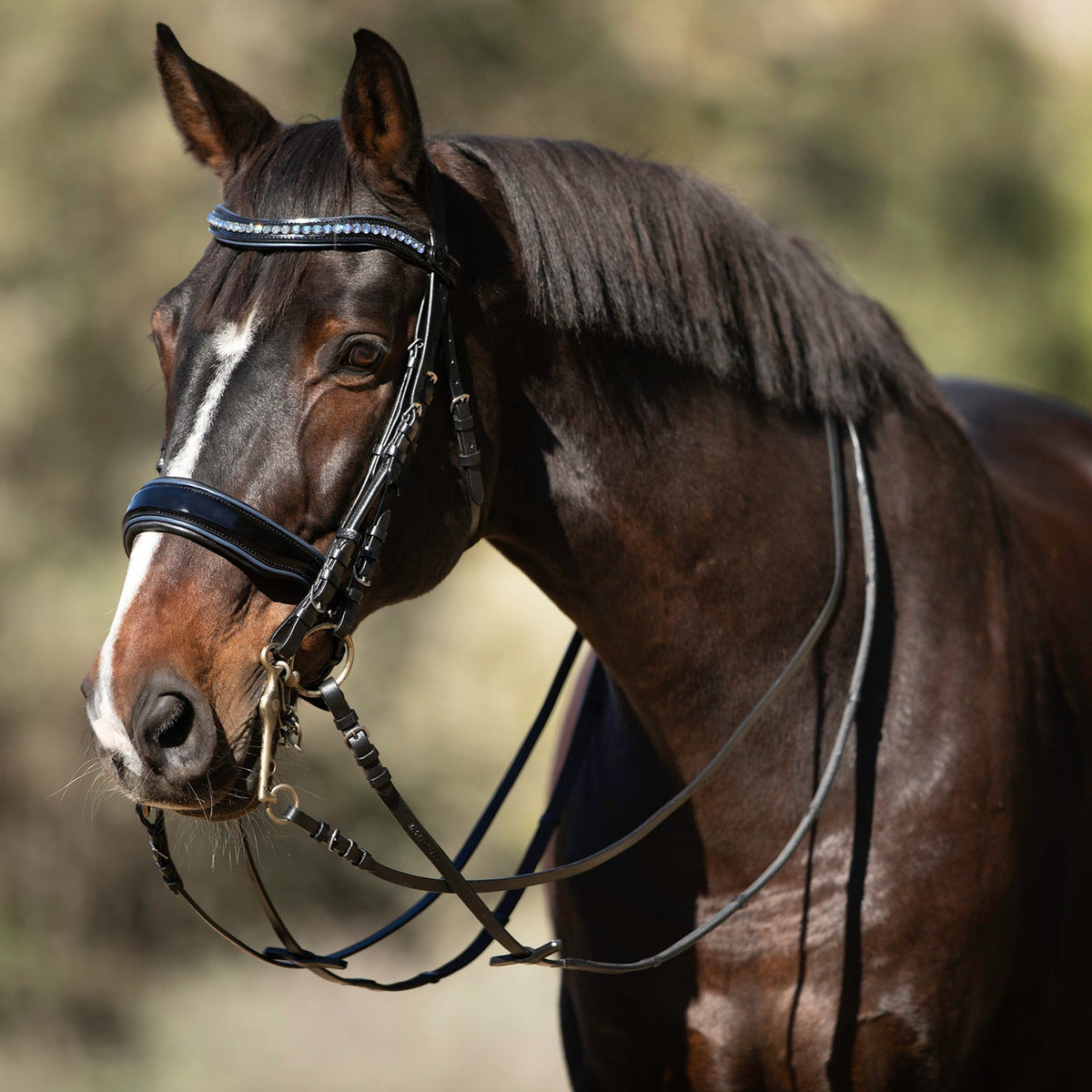 Charleston - Black Patent Leather Double Bridle