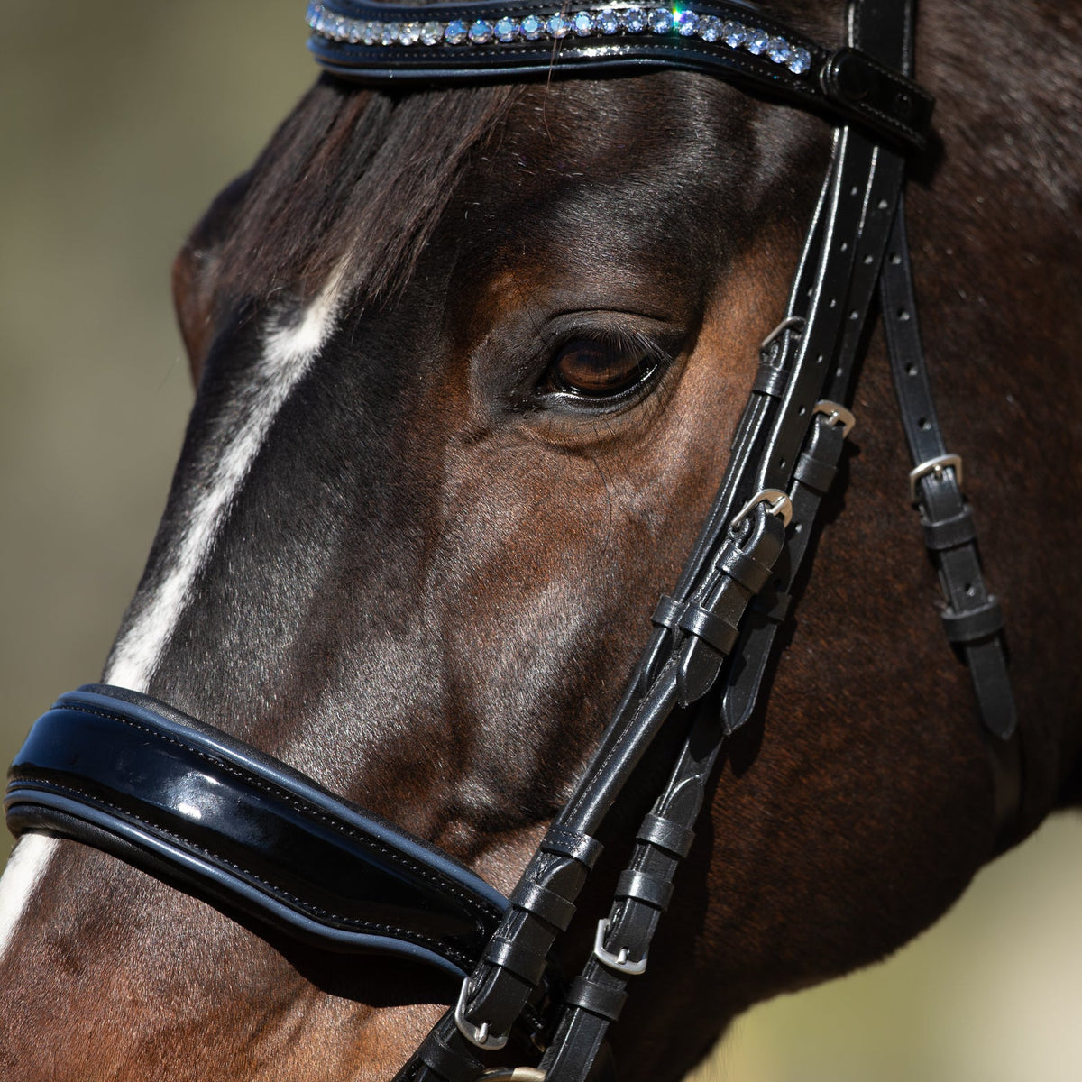 Charleston - Black Patent Leather Double Bridle