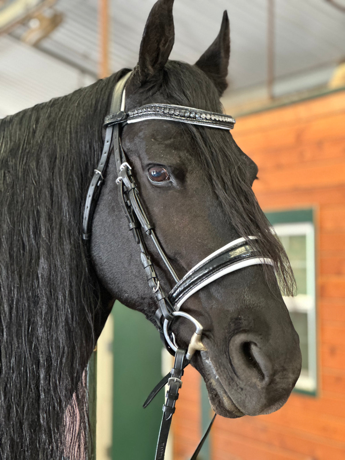 The Harlow Black Patent Snaffle Bridle with Removable Flash
