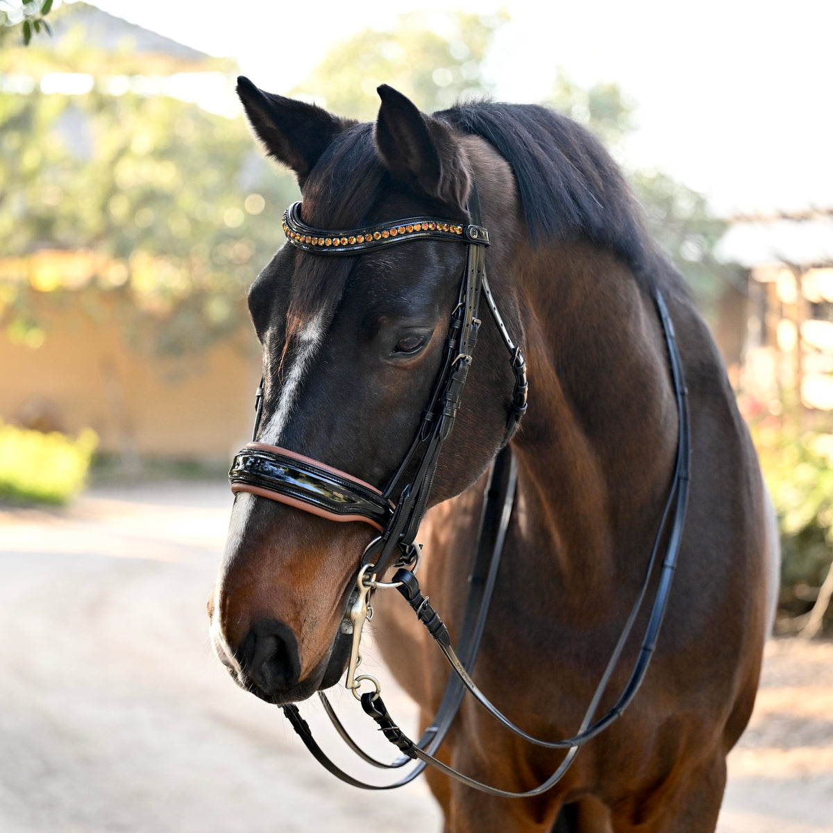 🤎 The Umbria Rolled Black Patent Leather Double Bridle