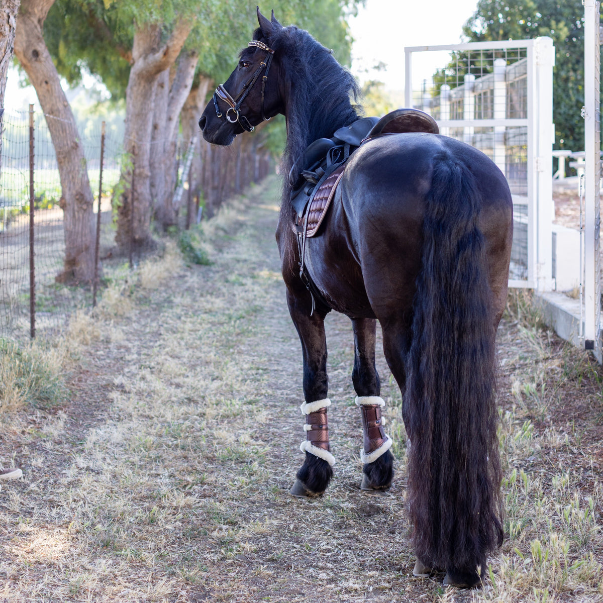 Satin Classic Dressage Saddle Pad - Gilded Mocha