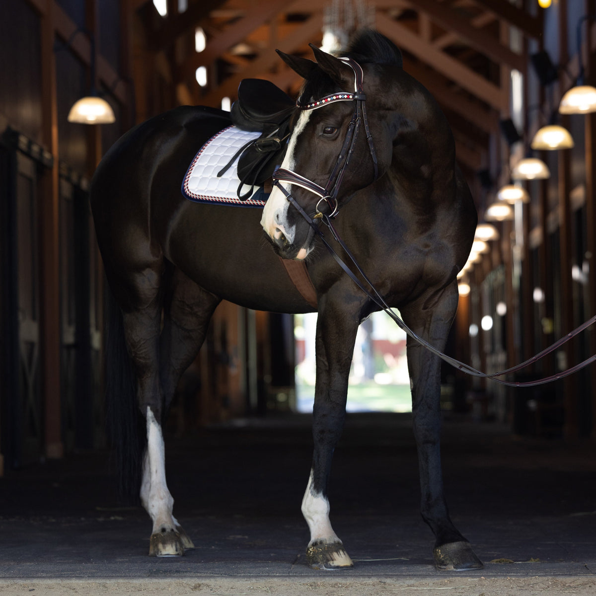 The Liberty Navy Leather Jumper Bridle