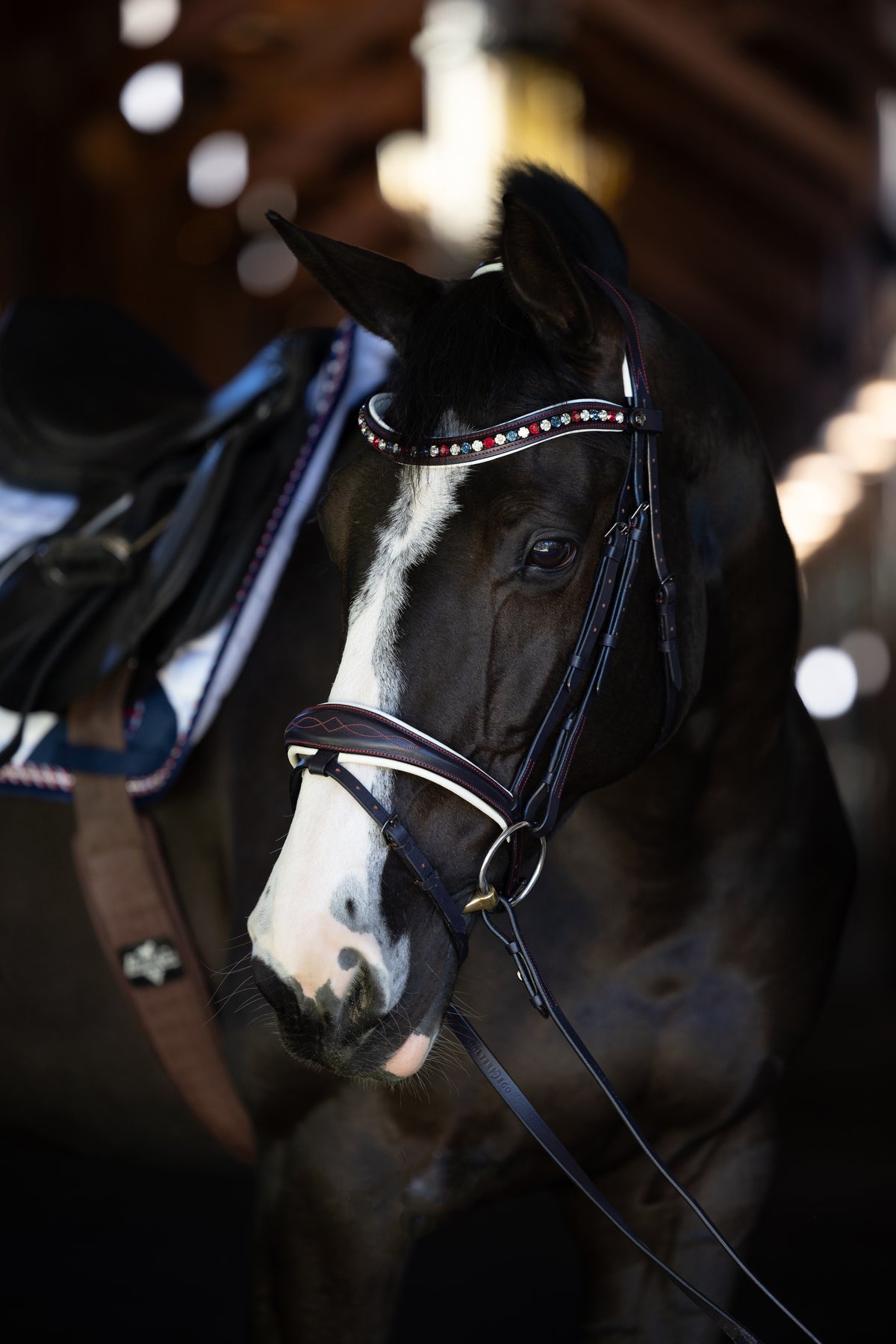 The Liberty Navy Leather Jumper Bridle