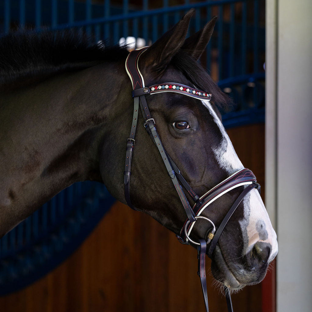 The Liberty Navy Leather Jumper Bridle