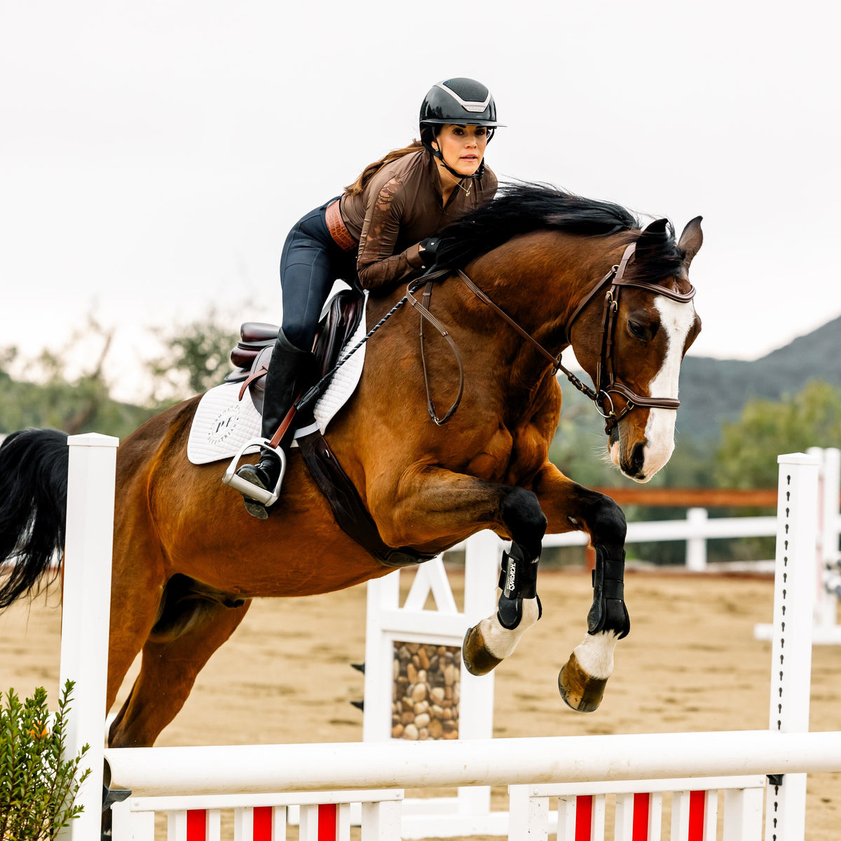 Sloane Hybrid Full Seat Riding Tights / Bregging