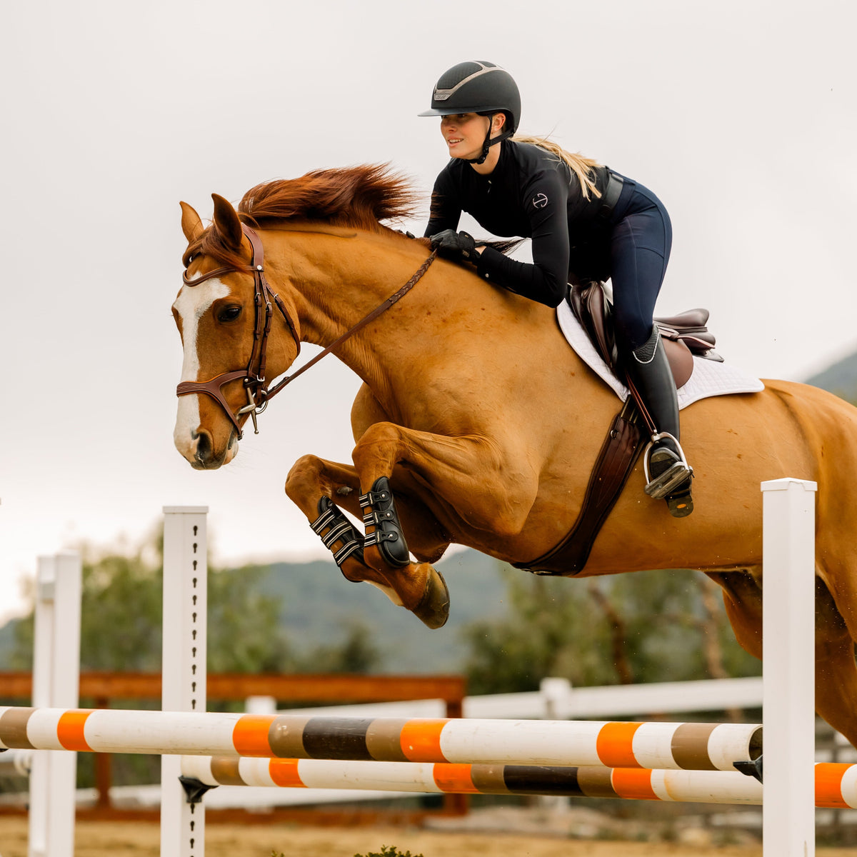 Sloane Hybrid Full Seat Breggings