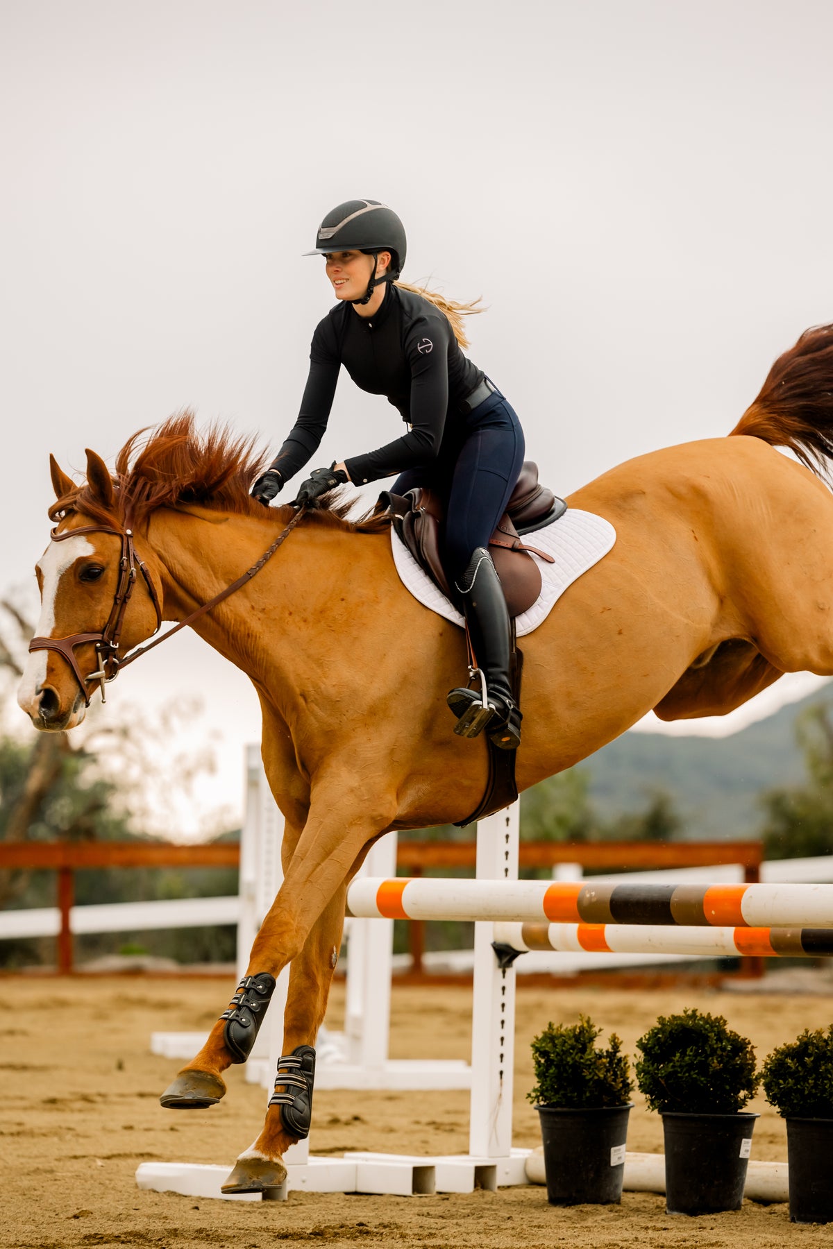 Sloane Hybrid Full Seat Riding Tights / Bregging