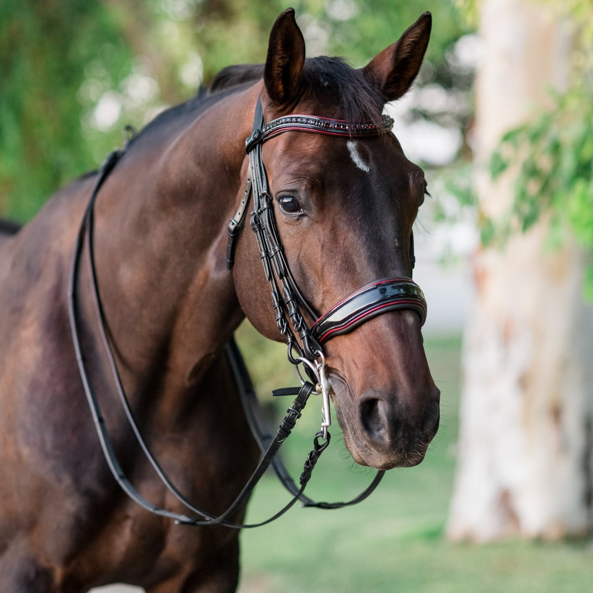 The Hayworth Double - Black Patent Double Bridle