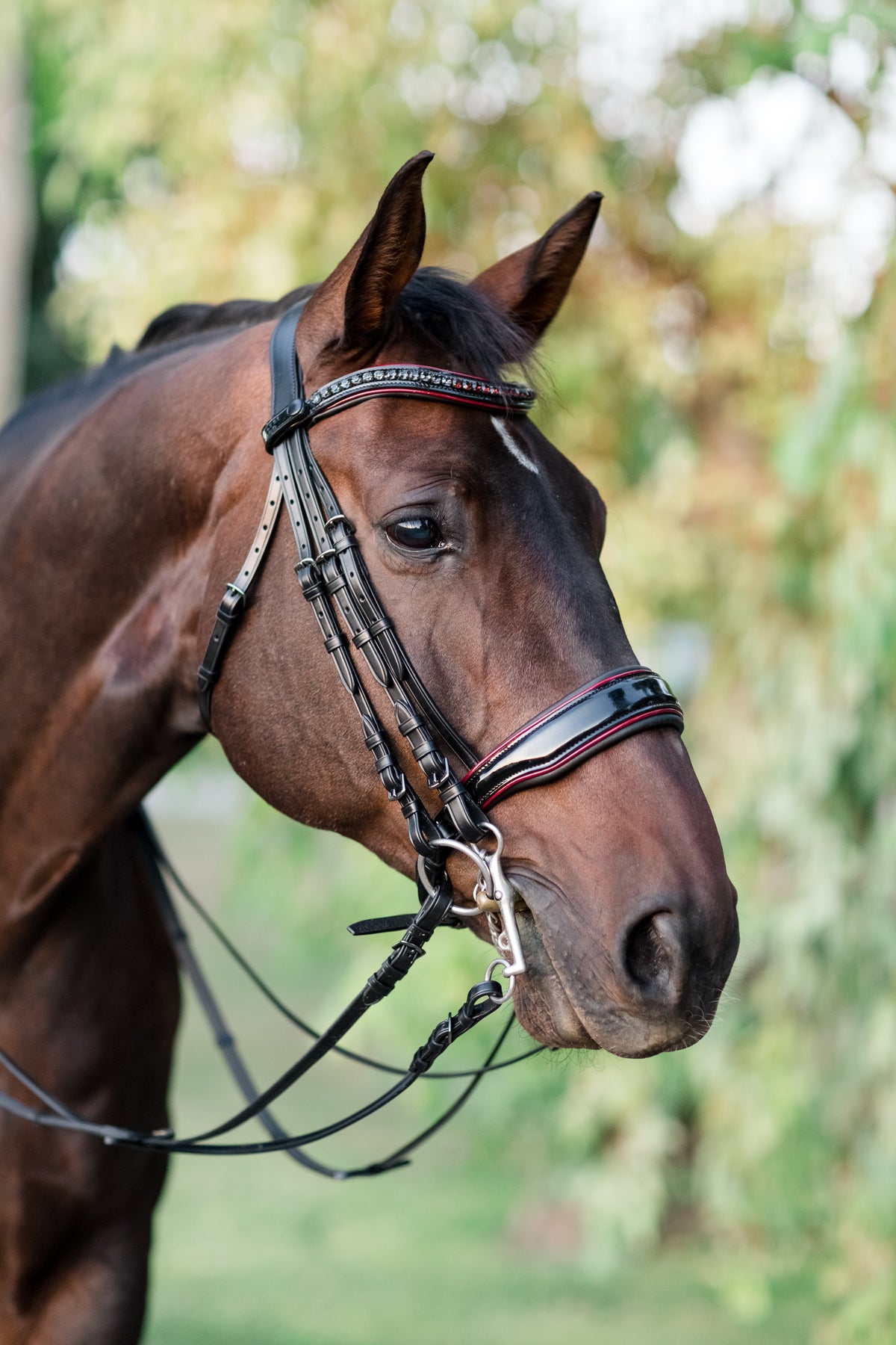 The Hayworth Double - Black Patent Double Bridle