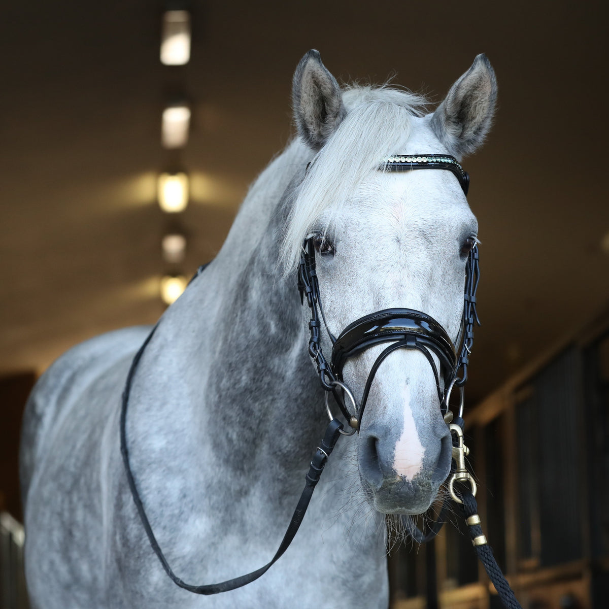 Halter Ego® 'Calisa' Patent Snaffle Bridle