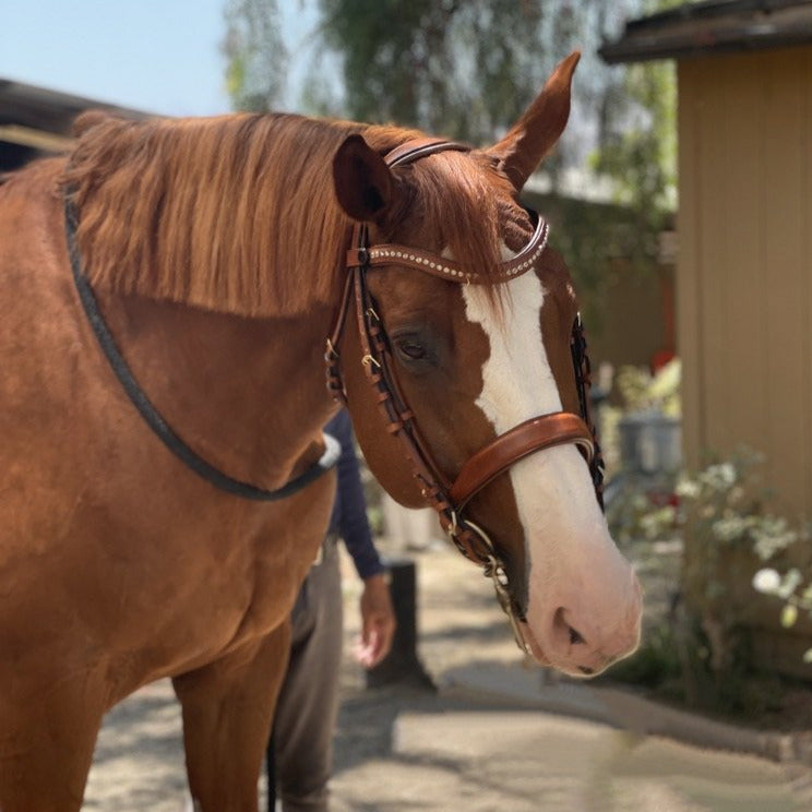 Savannah - Brown Cognac Leather Double
