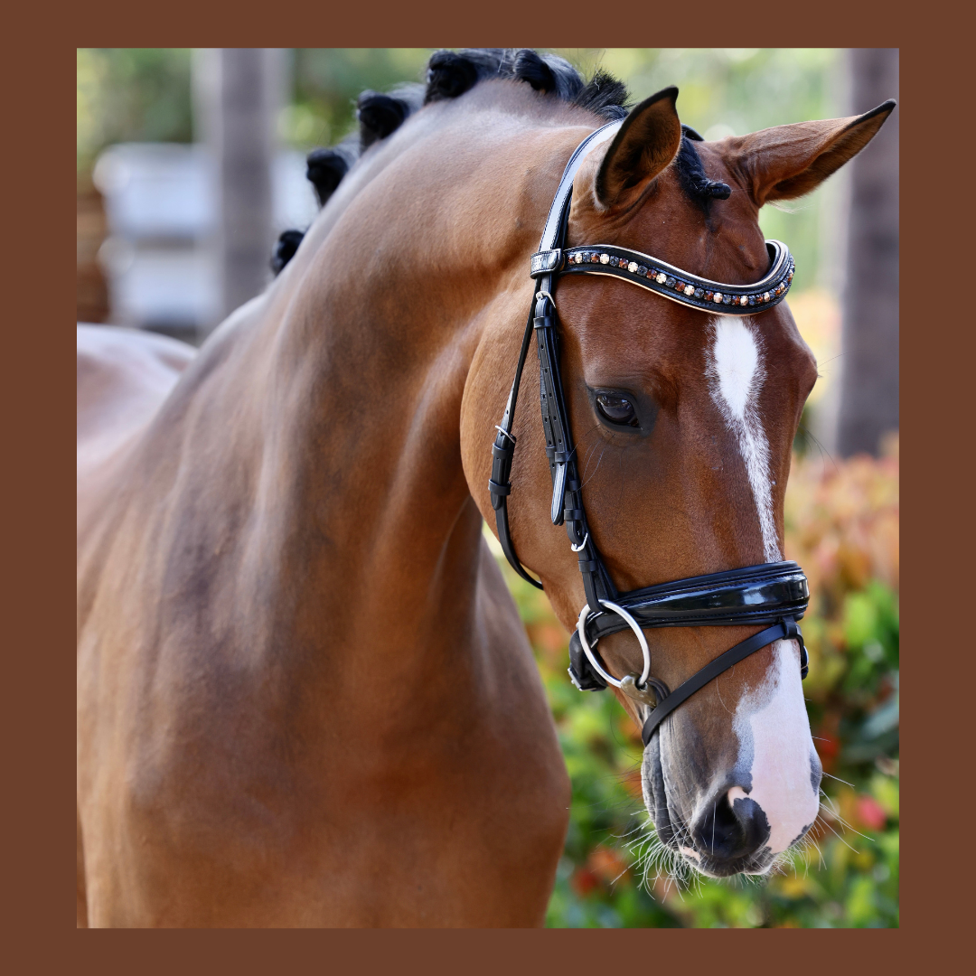 Lyamora Limited Edition Black Patent Snap Browband