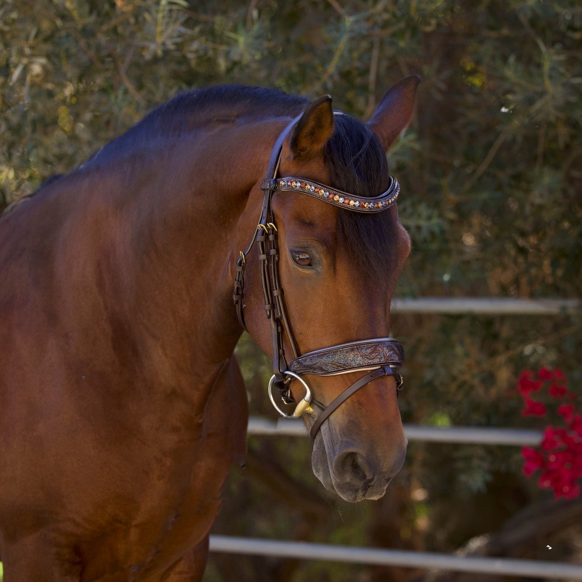 Brown Leather Snaffle Bridle