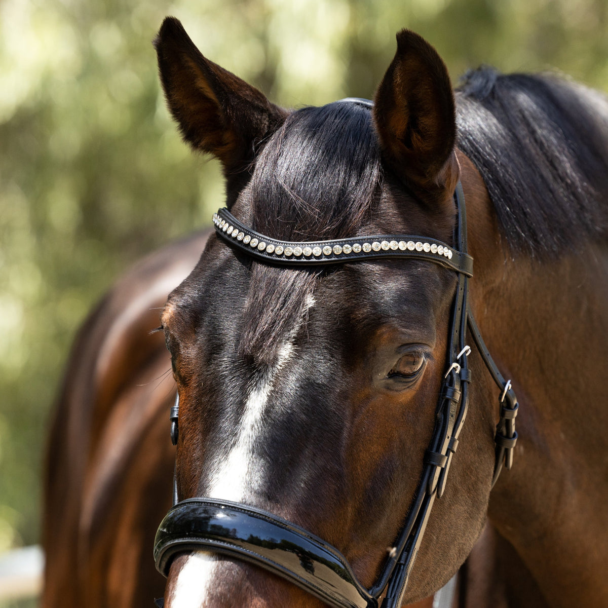 Monterey - Rolled Black Patent Anatomical Snaffle without Flash