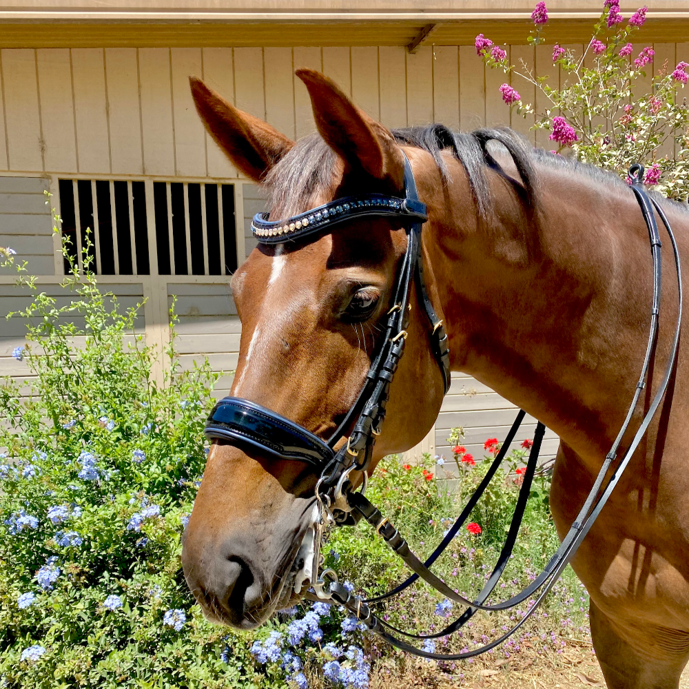 Charleston - Black Patent Leather Double Bridle
