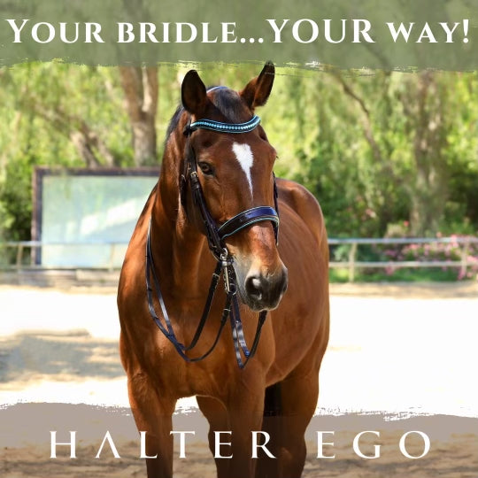 Halter Ego® Custom Double Bridle HOLIDAY FLAT RATE Special! | GIFT CARD