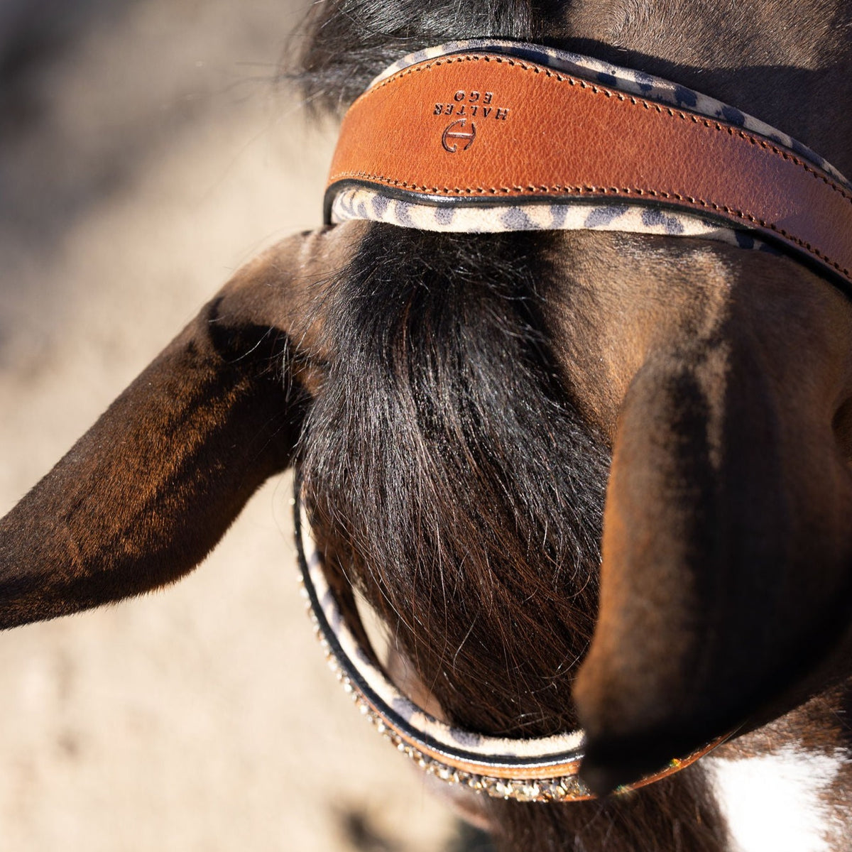 Sahara - Cognac Snaffle Bridle with Leopard Padding
