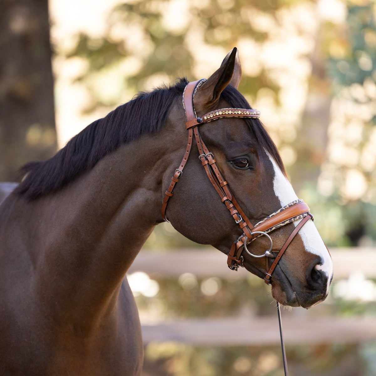 Sahara - Cognac Snaffle Bridle with Leopard Padding