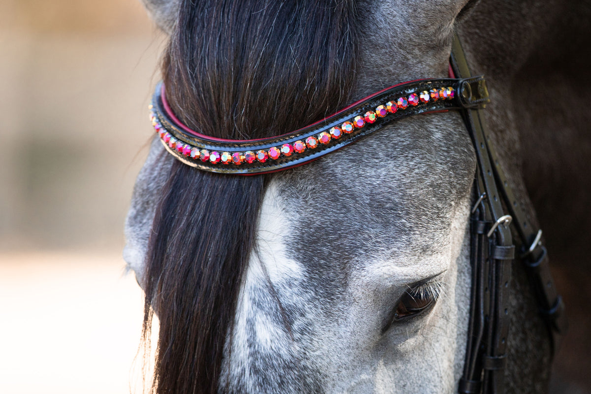 The Luci - Black Patent Snaffle Bridle with Red Padding