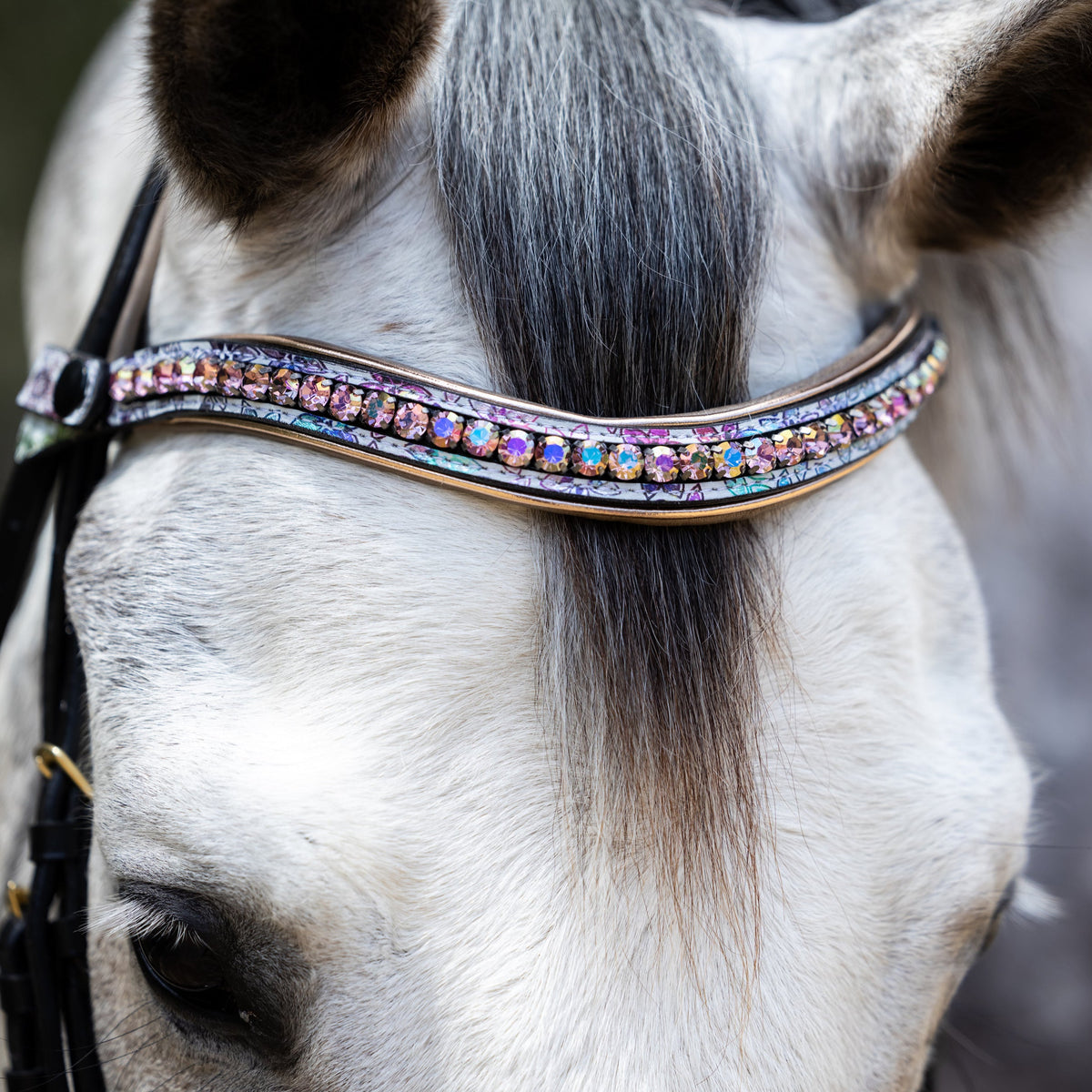 Limited Edition Versailles Bridle