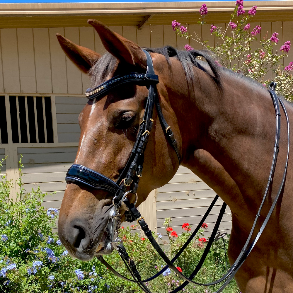 Charleston - Black Patent Leather Double Bridle
