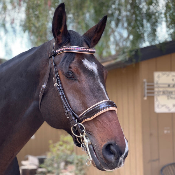 American Bridle Leather .Dark Brown, Brass — Pinnell Custom Leather