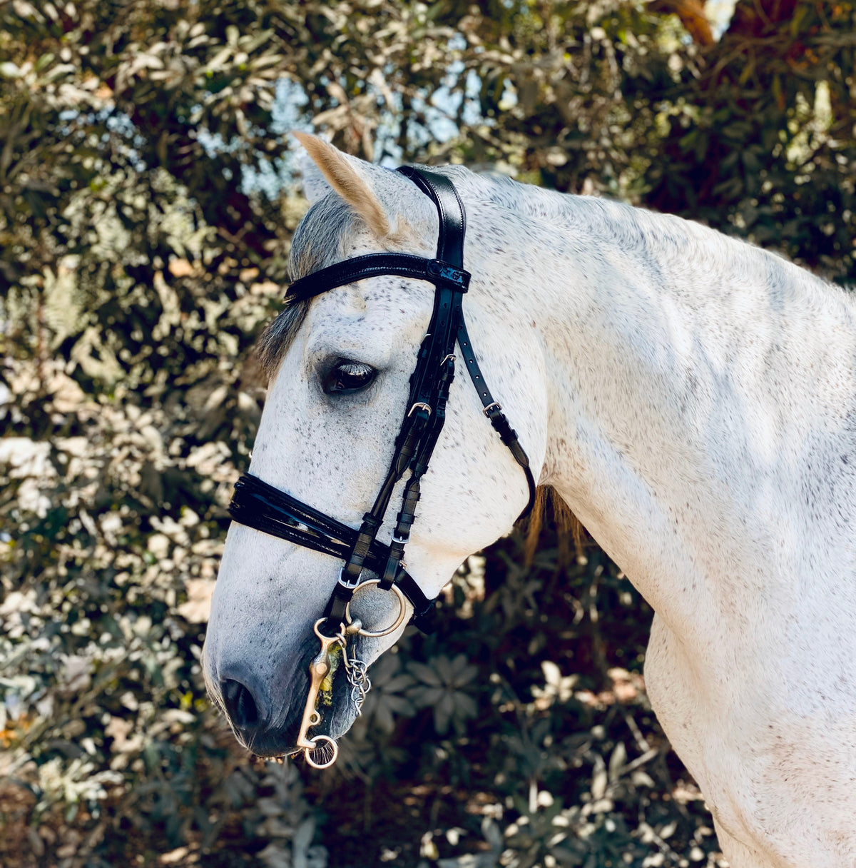 Natalia Black Patent Sparkle Double Bridle