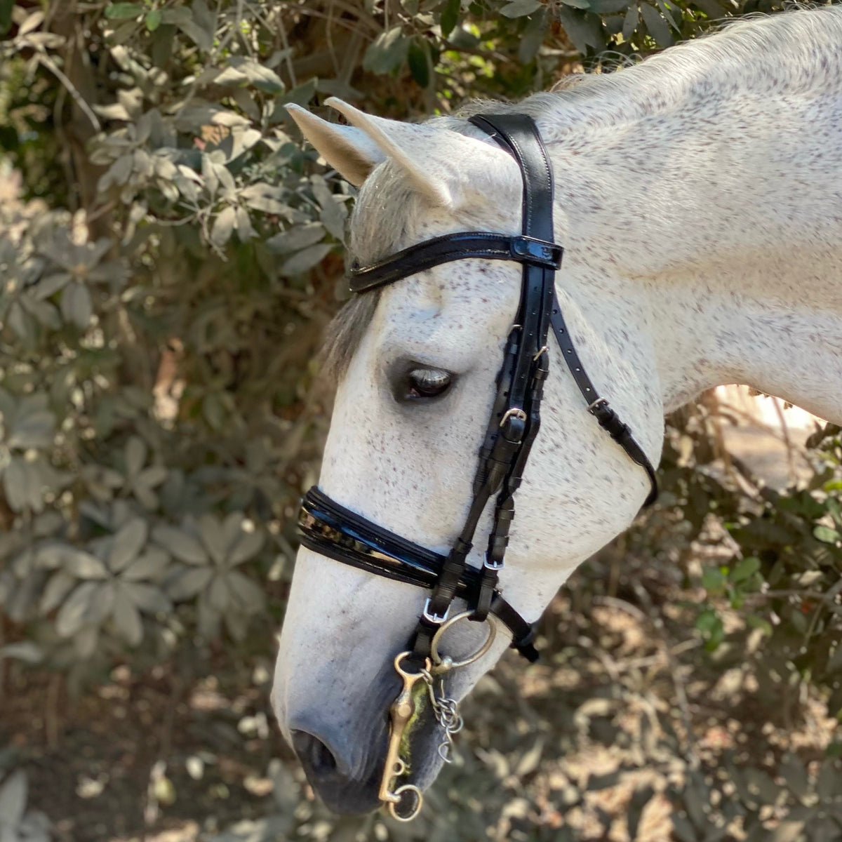 Natalia Black Patent Sparkle Double Bridle