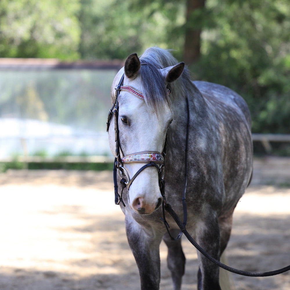 Limited Edition Versailles Bridle