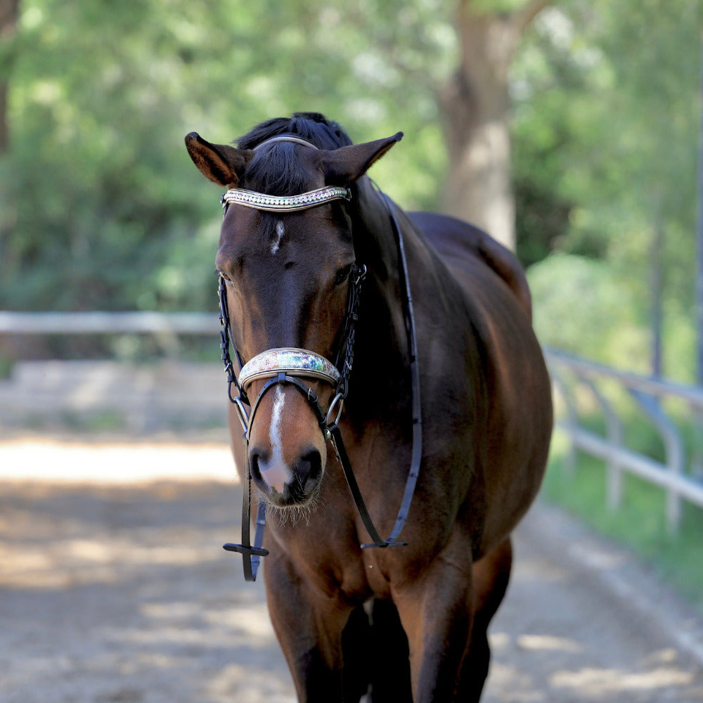Limited Edition Versailles Bridle