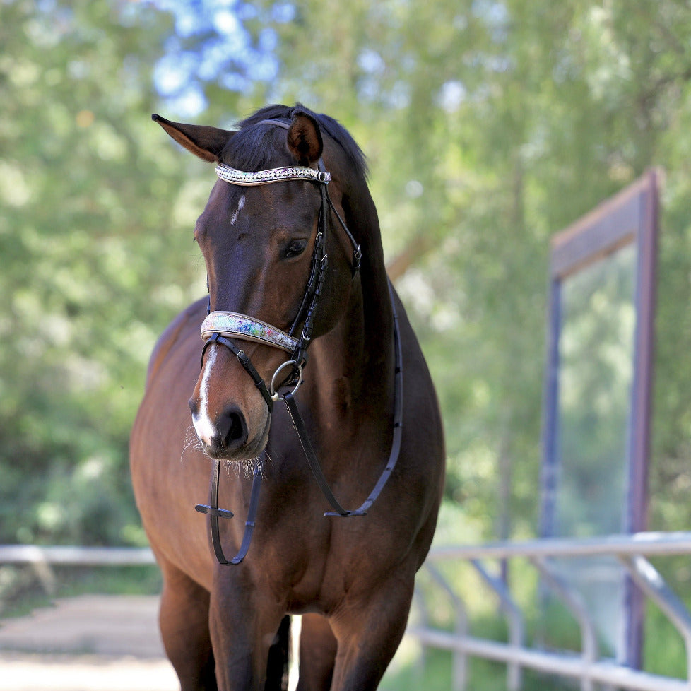 Limited Edition Versailles Bridle