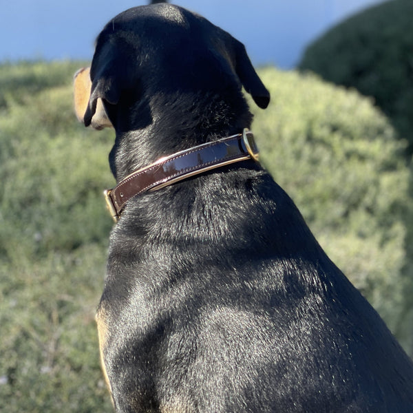 Mahogany Brown Dog Collar with Black Leather + Tan/Light Brown Stitching