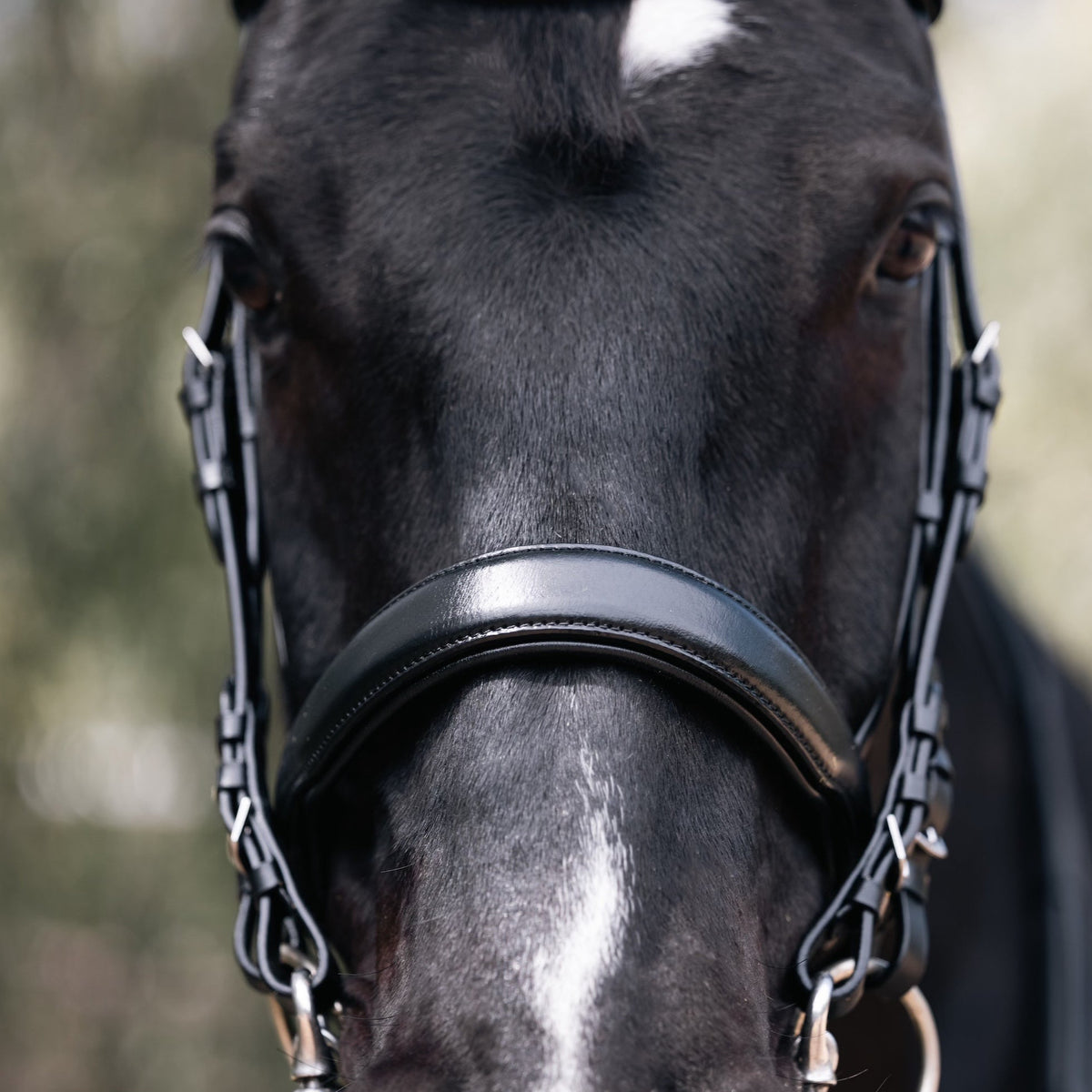 Halter Ego® 'Lexington' Non-Patent Black Leather Double Bridle