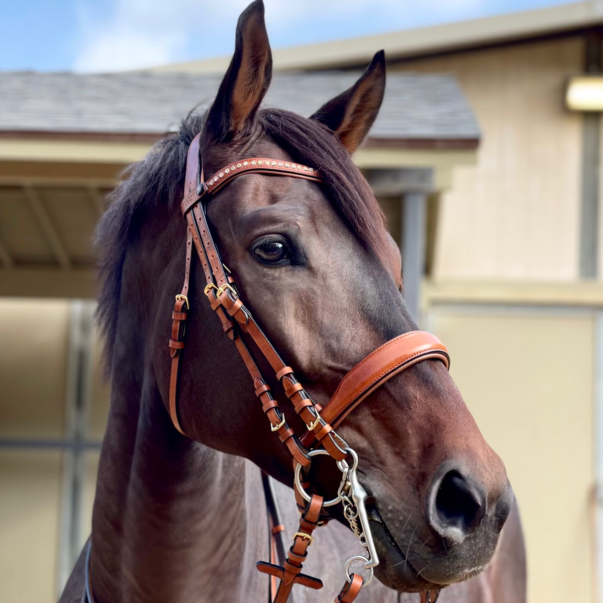 Savannah - Brown Cognac Leather Double