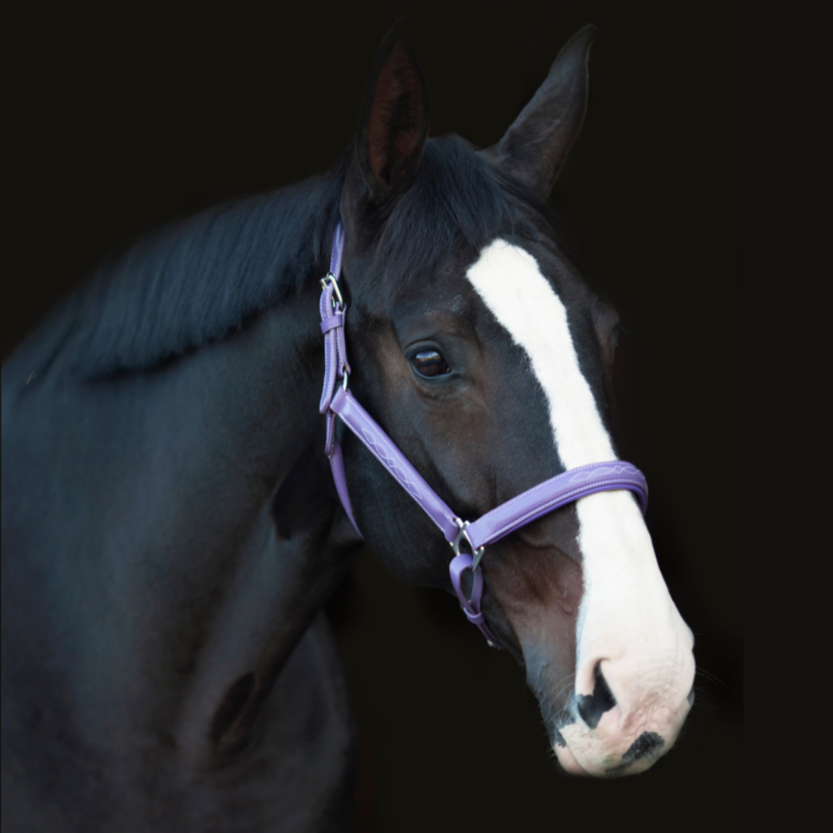 Leather Halter With Top Stitching - Violet Purple
