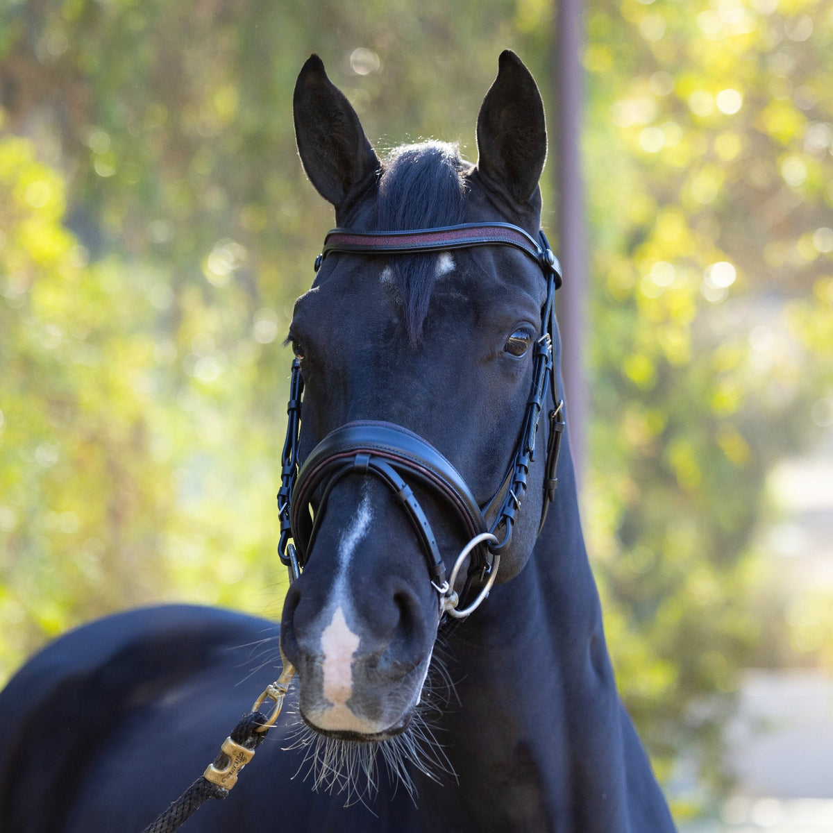 Holiday Natalia - Red Glitter Leather Snaffle