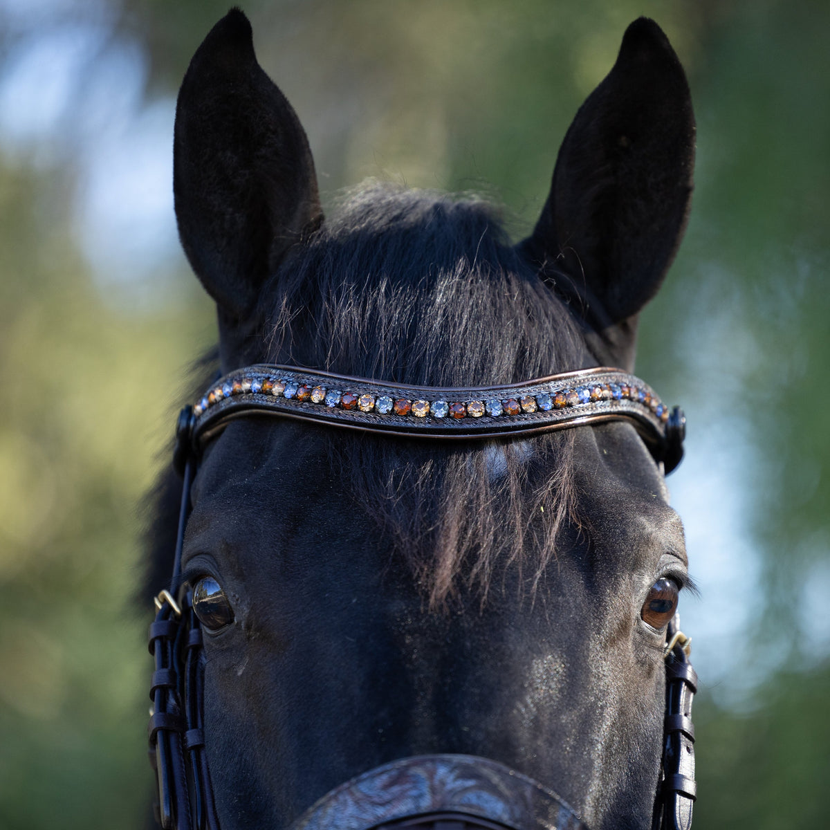 Brown Leather Snaffle Bridle