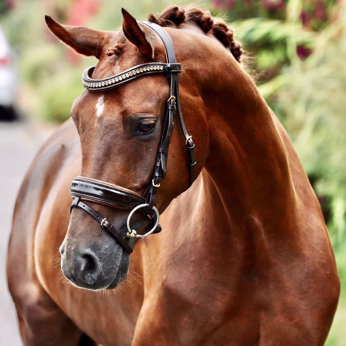 Phoenix Brown Patent Sparkle Snaffle Bridle