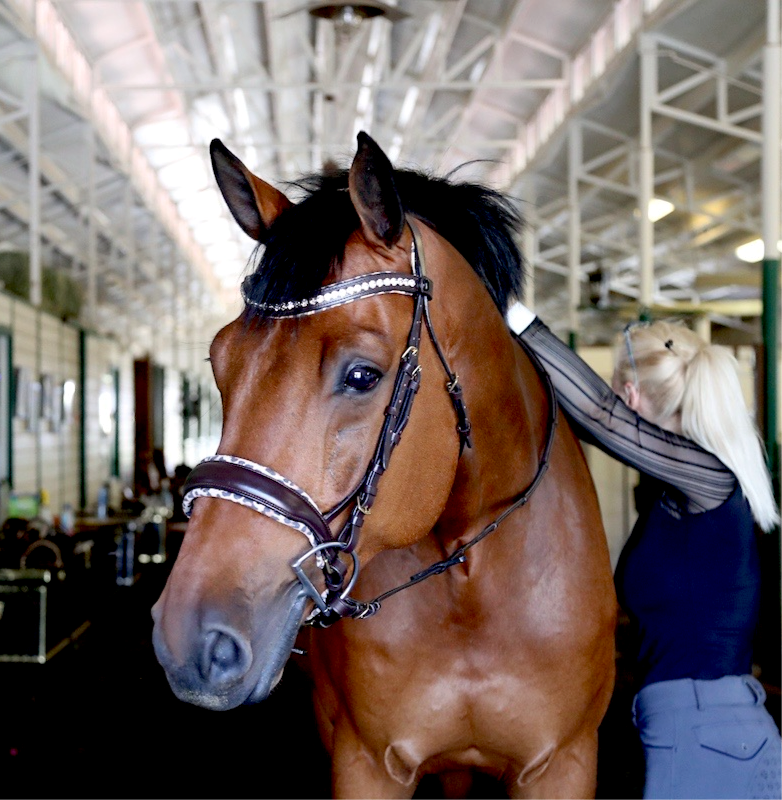 H.M. Safari Snaffle Bridle