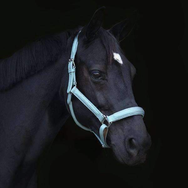 Tiffany Blue Leather Halter with Top Stitching
