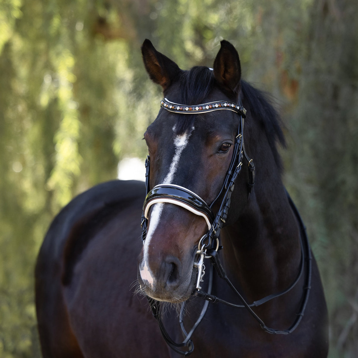 The Taos Black Patent Double