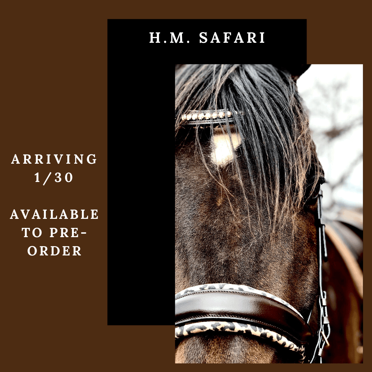 H.M. Safari Snaffle Bridle
