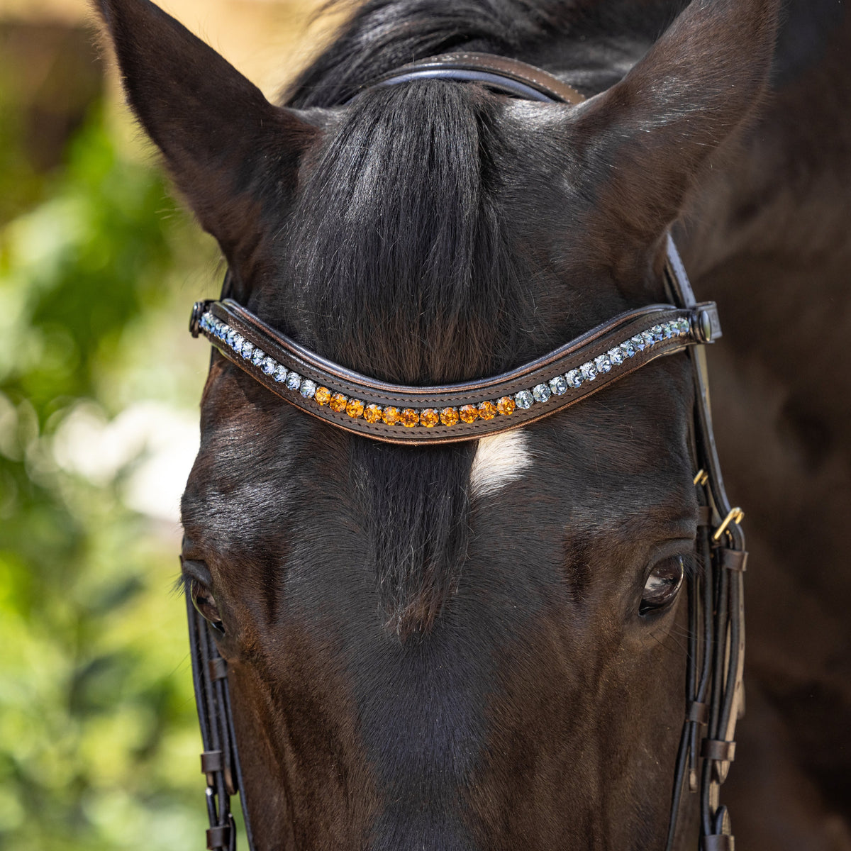 Scirocco - Maple Brown Leather Snaffle with Metallic Navy Padding and Bronze Glitter Piping