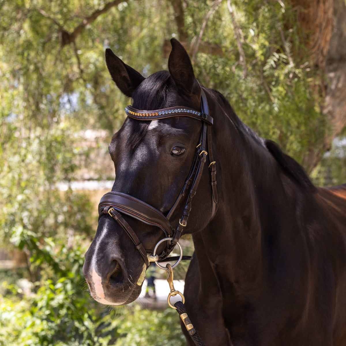 Scirocco - Maple Brown Leather Snaffle with Metallic Navy Padding and Bronze Glitter Piping