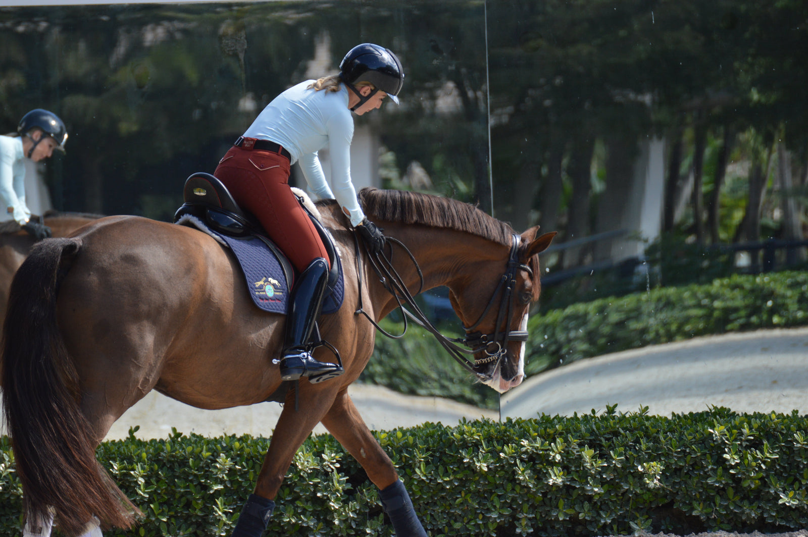 The Road to Greatness: Inside the Lives of Elite Equestrian Athletes