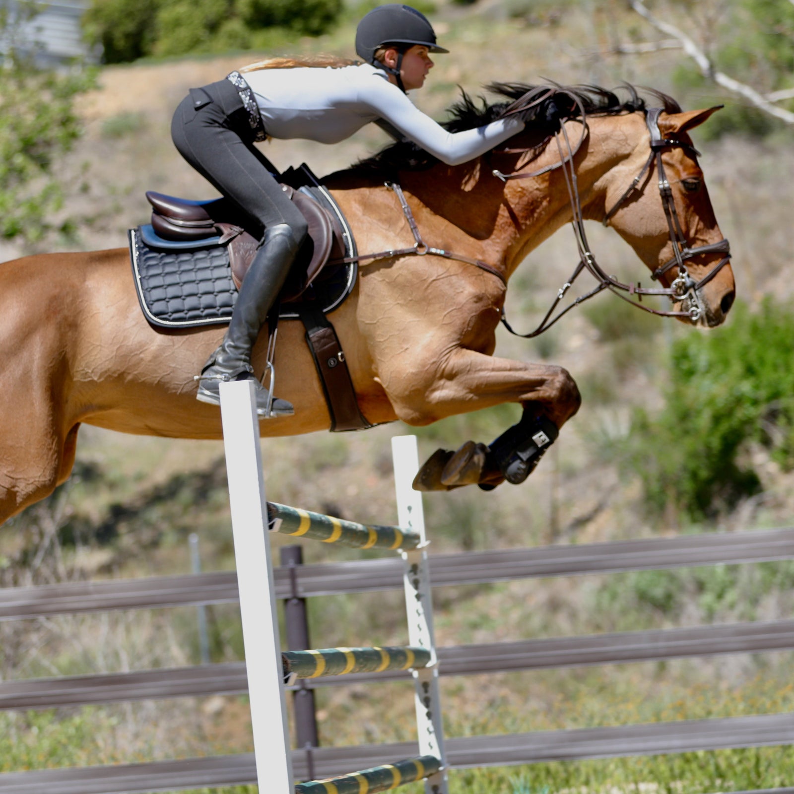 Jump Saddle Pads